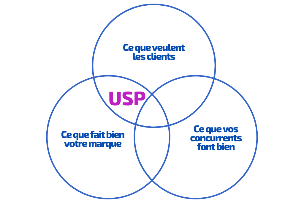 unique selling proposition schema
